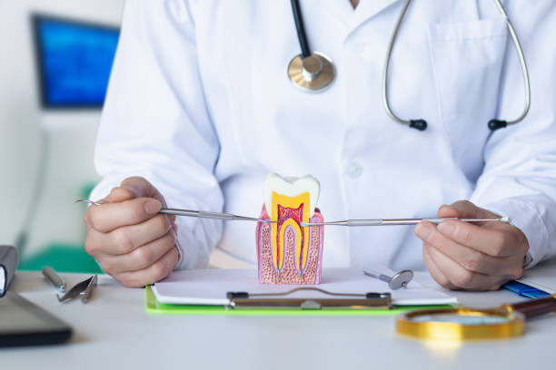 Best Emergency Wisdom Tooth Extraction in Walnut Creek, OH